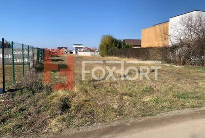 Teren 1122 mp in Dumbravita, toate utilitatile, ideal rezidential sau comercial - 4