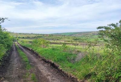 Spațiu comercial, în Iris