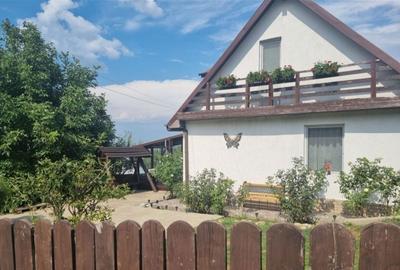 Casă cu 2 camere în Valea Moșneagului - 3