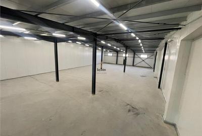 Spațiu industrial, de 1,400 mp, în Vest - 6