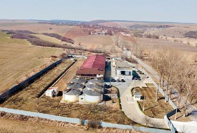 Crama din Buciumeni Afacere la cheie - 12