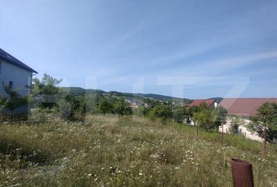 Teren intravilan 25 ari, zona Valea Sigmirului