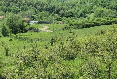 Teren de 5850 mp, în Crușovița - 3
