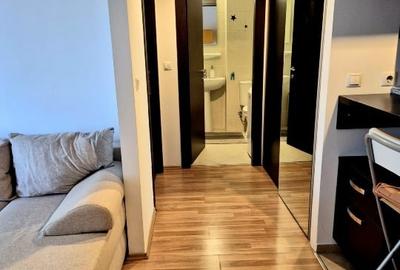 Apartament cu 2 camere decomandat, mobilat în Colentina - 3