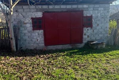 Vand casa in com Nicolae Balcescu(Valcea) - 1