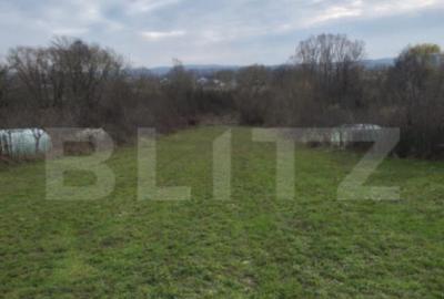 Teren intravilan 3000mp ,sat Plopu, Prahova - 3