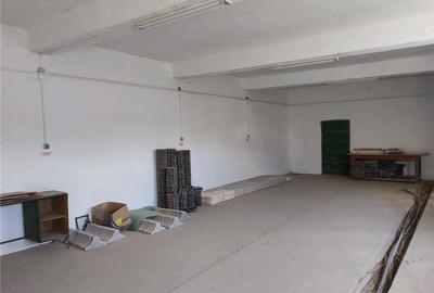 Spațiu comercial, de 500 mp, în Acâș - 5