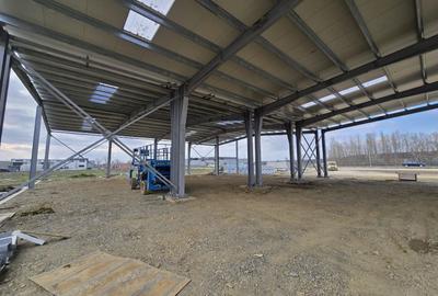 Spațiu industrial, de 9,000 mp, în Afumați - 8