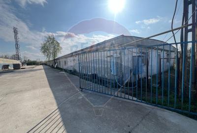 Teren intravilan de vanzare cu o suprafata de 6823mp Avicola Carcea - 1