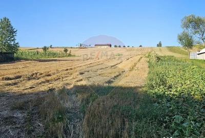 Teren de 7500 mp, în Moara - 11