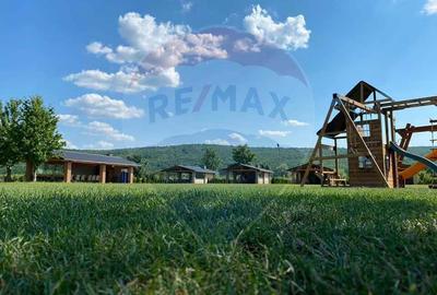 Oportunitate de Investi?ie - Complex Comercial ?i Agrement - Vaslui - 3