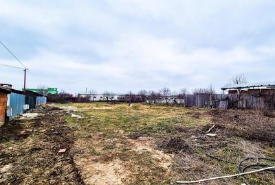 Teren Intravilan Prundu Mic Pitesti - 3