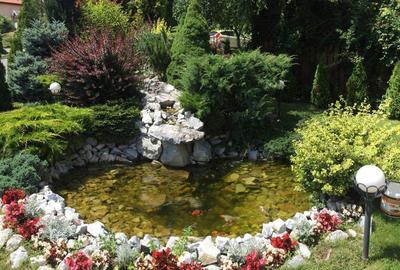 Casă cu 4 camere cu Teren 800 Mp în Livezeni - 6