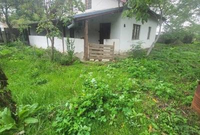 Teren Butimanu - 3700 mp-deschidere lac - 5