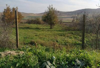 Nicolae Balcescu - Tulcea, teren cu deschidere 27 ml la drum - 3