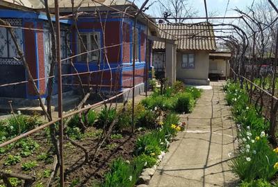 Casă cu 4 camere în Călțuna - 10