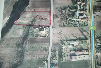 Teren de 4529 mp, în Potârnichești - 1