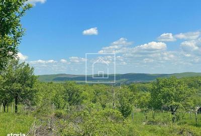 Teren de 1000 mp, în Central - 6