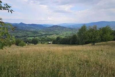 Teren extravilam, loc. Rona de Sus, jud. Maramure?, - 1