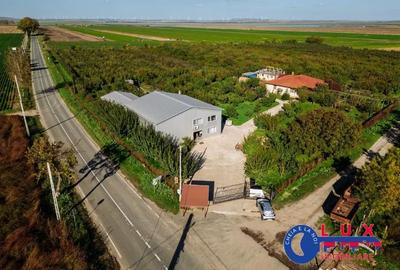 Teren de 44999 mp, în Sabangia - 3