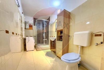 Casă individuală cu 6 camere cu Garaj în Pădureni (Jebel) - 12