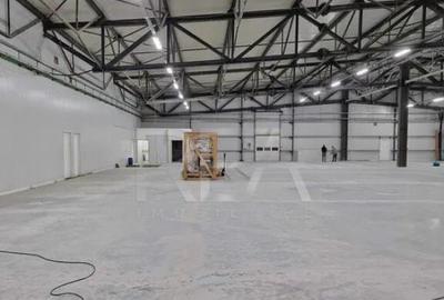 Hala temperatura controlata | Depozitare/Productie | Vidra\C - 3