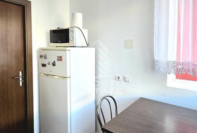 Apartament o camera Ared Uta - 8