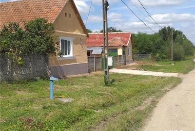 Casă cu 3 camere cu Teren 10000 Mp în Gherteniș - 4