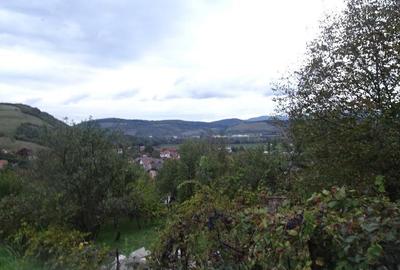 Vand teren intravilan in Deva, zona Viile Noi, suprafata totala 581 mp - 2