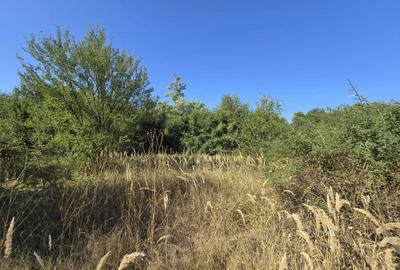 Spațiu comercial, în Ciolpani