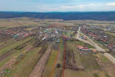 De vanzare Casa + Teren 2685 mp Intravilan, Betfia, Bihor - 1