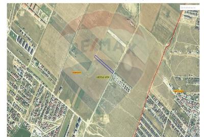 Teren agricol intravilan de 5000 mp, în Dobroești - 1