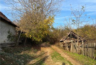 Reco Casa 3 camere si teren 2.600mp in Burzuc - 3