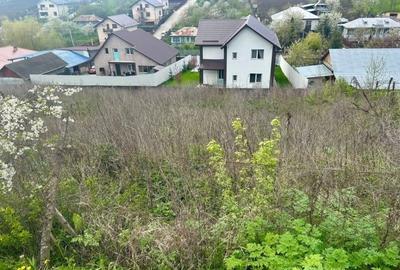 Teren Construcții intravilan de 1000 mp, în Valea Lupului - 9