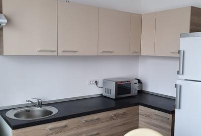 Aula universitatii, garsoniera , bloc nou, 400 euro - 4