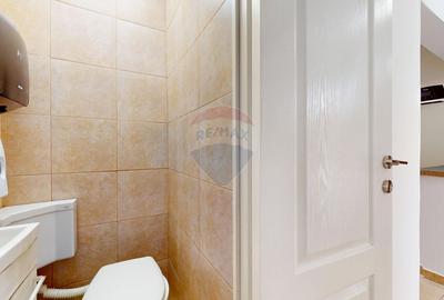 Inchiriere imobil Brasov, zona centrala, strada Aurel Vlaicu, curte - 11