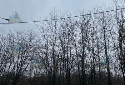 Teren Construcții intravilan de 2614 mp, în Periferie - 2