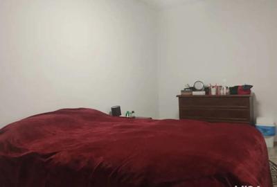 Apartament cu 4 camere semidecomandat în Gojdu - 11