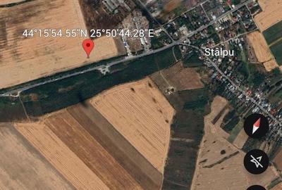 Teren de 15000 mp, în Stâlpu - 2