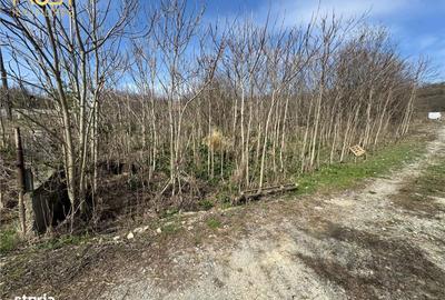 Teren de 11400 mp, în Apahida - 13