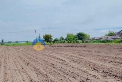 Teren- Com. Stefan cel Mare- jud. Neamt - 10