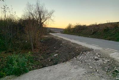 Vand casa mare+65 arii teren intravilan - 3