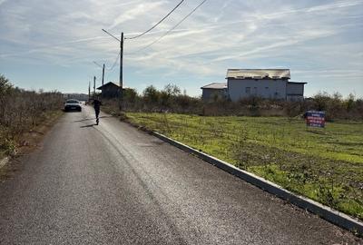 Loturi teren 638 mp; 638 mp; 664 mp de vânzare  Clinceni- Bragadiru - 6