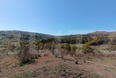 Teren extravilan cu priveli?te superba , livada ?i poten? - 4