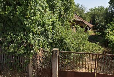 Casă cu 5 camere cu Teren 2300 Mp în Greaca - 2