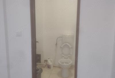 Spa?iu comercial de inchiriat in intersec?ia Delfinariu - 7