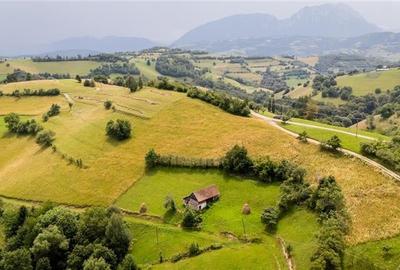 10.335 mp + imobil, splendoare si regasire in mijlocul naturii, Poiana Marului - 11