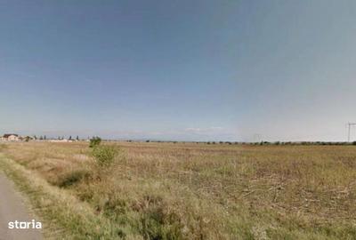 Teren de 25871 mp, în Ariceștii Rahtivani