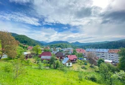 Casa de vacanta in Baiut - 9