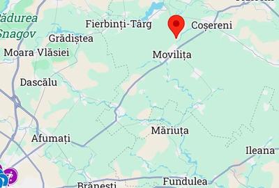 Teren de 11000 mp, în Dridu - 7